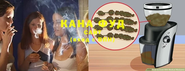 мдпв Новозыбков