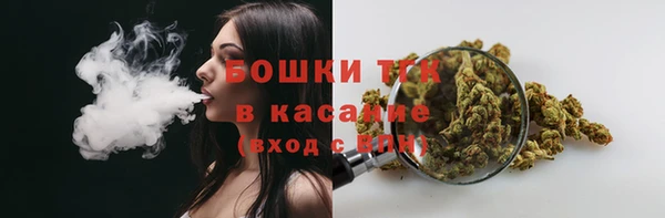 амф Болотное