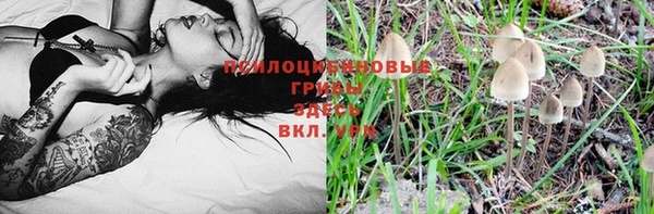 мдпв Новозыбков