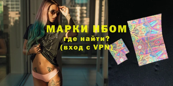 мдпв Новозыбков