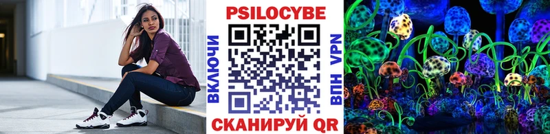 Псилоцибиновые грибы Cubensis Ижевск