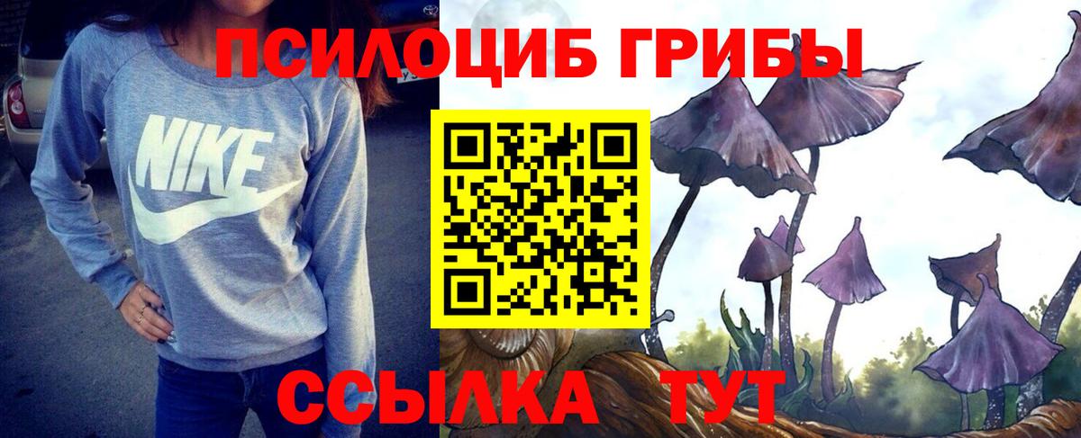 Псилоцибиновые грибы мицелий Ижевск