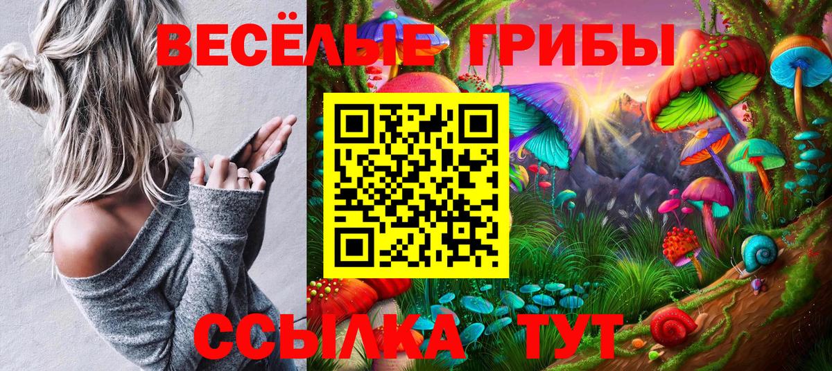 Ижевск  Галлюциногенные грибы MAGIC MUSHROOMS  Вход с VPN  Галлюциногенные грибы Psilocybe 
